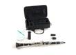 Pure Bb Clarinet CB-317 